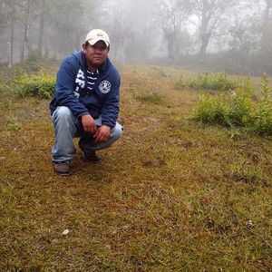 Meet your Posher, Jose